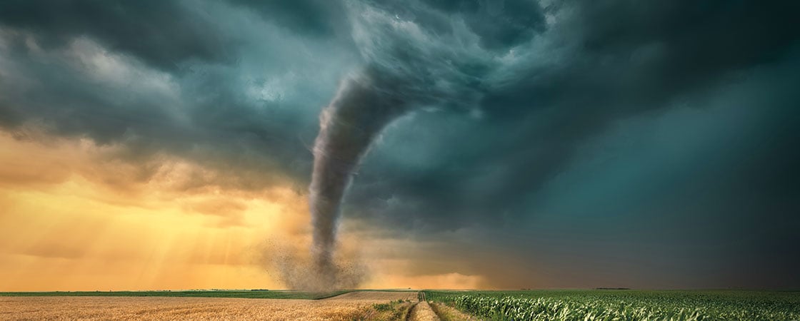 A large gray cloud twisting up from a cornfield into the sky 