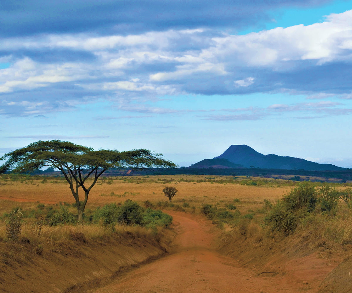 Image of the safari in Africa