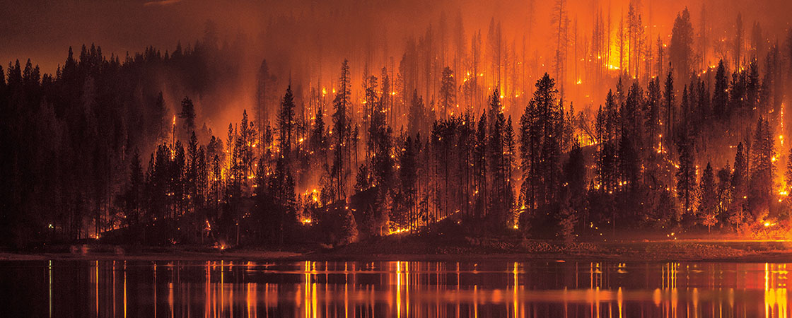 Image of a forest on fire