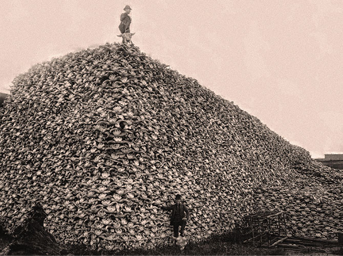 expandable photo of men posing near a large mountain of buffalo skulls
